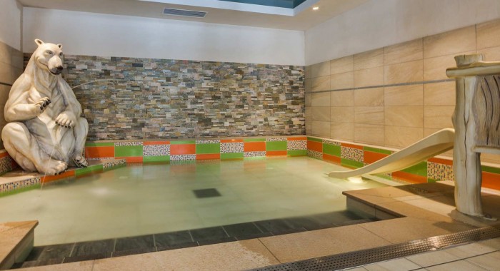 Les Chalets de Layssia, Samoens ski chalet, image 6